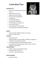 Konspekts 'Pūces Curriculum Vitae', 1.