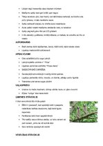 Konspekts 'Pūces Curriculum Vitae', 2.