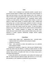 Biznesa plāns 'Plānotās uzņēmējdarbības apraksts', 3.