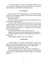 Biznesa plāns 'Plānotās uzņēmējdarbības apraksts', 4.