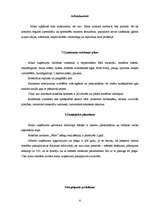 Biznesa plāns 'Plānotās uzņēmējdarbības apraksts', 6.