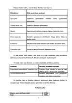 Biznesa plāns 'Plānotās uzņēmējdarbības apraksts', 7.