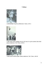 Referāts 'Jānis Daliņš', 21.