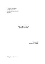 Referāts 'Senā Indija', 1.