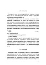 Referāts 'Vielas magnētiskās īpašības. Magnētiķu veidi un klasifikācija. Magnētiski nano-m', 5.