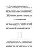 Referāts 'Vielas magnētiskās īpašības. Magnētiķu veidi un klasifikācija. Magnētiski nano-m', 10.