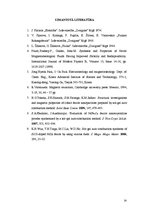 Referāts 'Vielas magnētiskās īpašības. Magnētiķu veidi un klasifikācija. Magnētiski nano-m', 14.