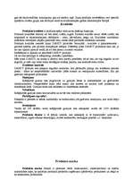 Referāts 'Dirol', 4.