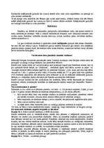 Referāts 'Dirol', 7.