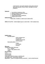 Referāts 'Dirol', 10.