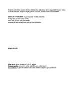 Referāts 'Dirol', 11.