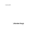 Referāts 'Jitlandes jūras kauja 1916.gadā', 1.