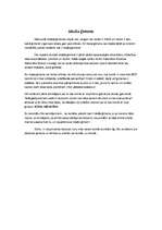 Eseja 'Ideāla ģimene', 1.