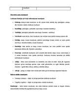 Referāts 'Bērns ar runas un valodas attīstības traucējumiem', 9.