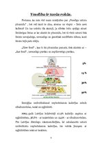 Referāts 'Projekta darbs - kas ir "slow food"', 6.