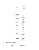 Prezentācija 'Ieskaites darbs studiju kursā "Ievads logopēdijā"', 8.