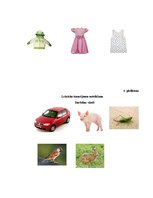 Prezentācija 'Ieskaites darbs studiju kursā "Ievads logopēdijā"', 17.