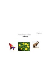 Prezentācija 'Ieskaites darbs studiju kursā "Ievads logopēdijā"', 18.