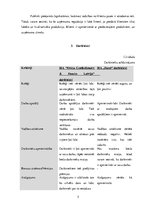 Referāts 'Reputācijas analīze par diviem konkurējošiem uzņēmumiem SIA "Fazer" un SIA "Orkl', 5.