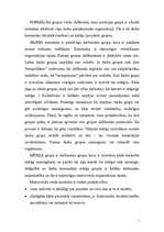 Referāts 'Grupas analīze', 7.