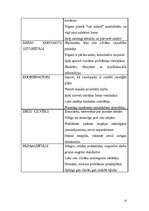 Referāts 'Grupas analīze', 13.