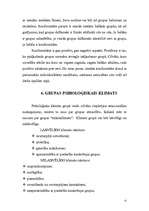 Referāts 'Grupas analīze', 15.