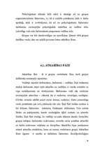 Referāts 'Grupas analīze', 16.