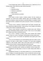 Referāts 'Mārketinga kompleksa pielietojums mazumtirdzniecībā', 12.