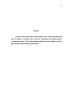 Referāts 'Skaitļa vārda lietojums latviešu literārajā valodā', 3.