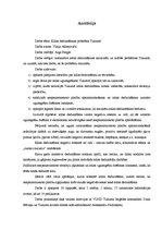 Referāts 'Kūlas dedzināšanas problēma Tukumā', 2.