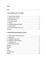 Referāts 'Mūzikas failu nelegāla lejuplādēšana, tās patērēšanas motīvi Latvijā', 2.