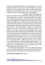 Referāts 'Mūzikas failu nelegāla lejuplādēšana, tās patērēšanas motīvi Latvijā', 13.