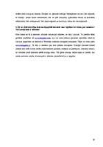 Referāts 'Mūzikas failu nelegāla lejuplādēšana, tās patērēšanas motīvi Latvijā', 29.