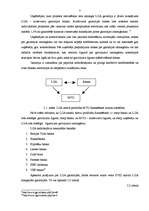 Referāts 'Latvijas Garantiju aģentūras loma inovatīvo MVU attīstībā ', 7.