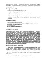 Referāts 'Korupcijas novēršana', 7.