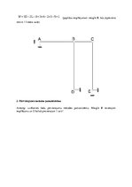 Paraugs 'Statiski nenoteicama rāmja aprēķins ar pārvietojumu metodi', 3.