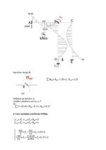 Paraugs 'Statiski nenoteicama rāmja aprēķins ar pārvietojumu metodi', 9.
