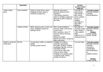 Konspekts 'Rotaļnodarbība - Sēnes', 2.