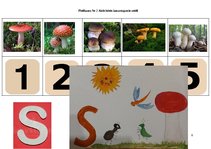 Konspekts 'Rotaļnodarbība - Sēnes', 8.