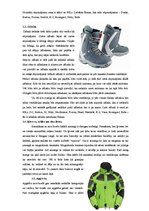 Konspekts 'Snovbords', 6.