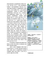 Konspekts 'Snovbords', 17.