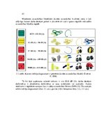 Diplomdarbs 'Darba aizsardzības sistēmas pilnveidošana kokapstrādes uzņēmumā', 43.