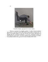 Diplomdarbs 'Darba aizsardzības sistēmas pilnveidošana kokapstrādes uzņēmumā', 57.