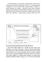 Diplomdarbs 'Latvijas zemnieku un amatnieku tirdziņu iesaiste tūrismā', 9.