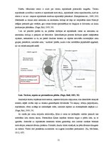 Diplomdarbs 'Latvijas zemnieku un amatnieku tirdziņu iesaiste tūrismā', 12.