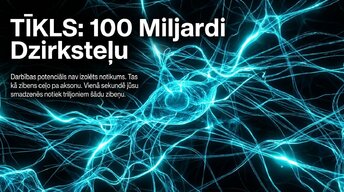 Prezentācija 'Darbības potenciāls un epilepsija: depolarizācija un repolarizācija smadzenēs', 5.