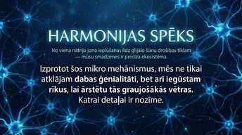 Prezentācija 'Darbības potenciāls un epilepsija: depolarizācija un repolarizācija smadzenēs', 13.