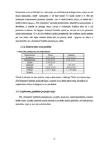 Biznesa plāns 'Biznesa plāns skaistumkopšanas salonam "Kleopatra"', 10.