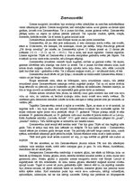 Referāts 'Ziemassvētki latviešu folklorā', 3.