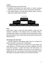 Referāts 'Valsts budžets', 2.